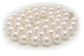 Akoya Pearls