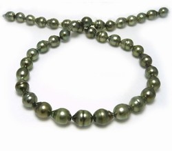 Circle Tahitian Black Pearl Necklace