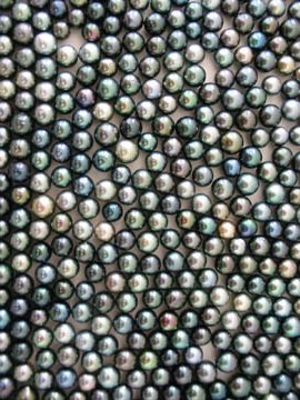 Tahitian Pearls