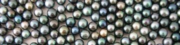 Tahitian Pearls