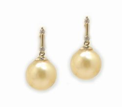 Golden South Sea Pearl Earrings