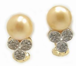 Golden South Sea Pearl Earrings