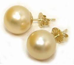 Golden South Sea Pearl Earrings