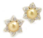 Golden South Sea Pearl Earrings
