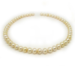 Golden South Sea Pearl Necklace