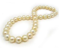 Golden South Sea Pearl Necklace