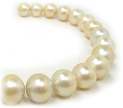 Golden South Sea Pearl Necklace