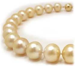 Golden South Sea Pearl Necklace