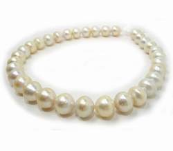 Golden South Sea Pearl Necklace