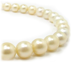 Golden South Sea Pearl Necklace