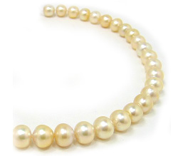 Golden South Sea Pearl Necklace