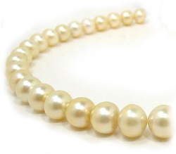 Golden South Sea Pearl Necklace