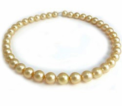 Golden South Sea Pearl Necklace