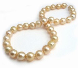 Golden South Sea Pearl Necklace