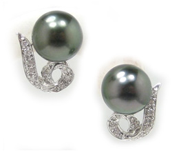 Tahitian Pearl Earrings