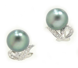 Tahitian Pearl Earrings