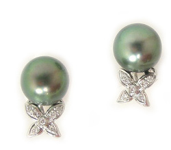 Tahitian Pearl Earrings