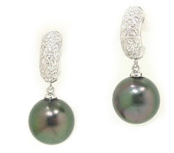 Tahitian Pearl Earrings