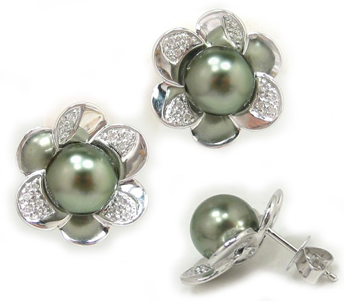 Tahitian Pearl Earrings