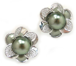 Tahitian Pearl Earrings