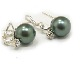 Tahitian Pearl Earrings