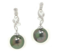 Tahitian Pearl Earrings