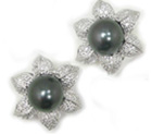 Tahitian Pearl Earrings