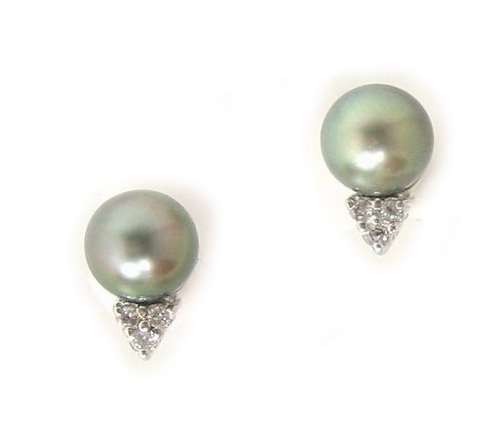Tahitian Pearl Earrings