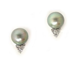Tahitian Pearl Earrings