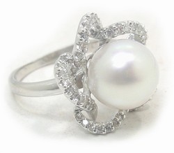 White South Sea Pearl Rings