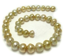 Golden South Sea Pearl Necklace