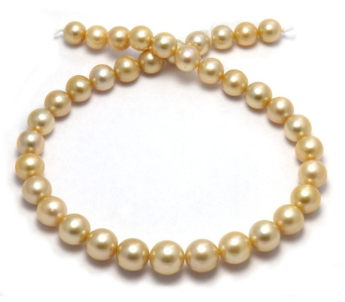 near round golden South pearl necklace