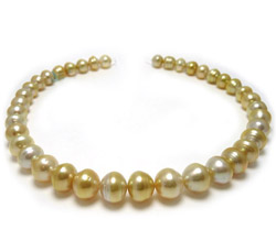 Golden South Sea Pearl Necklace