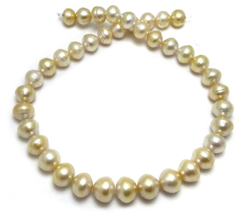 Circle South Sea golden pearl necklace