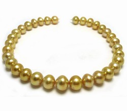 Golden South Sea Pearl Necklace