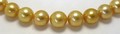 Rich Golden South Sea Pearl Necklace