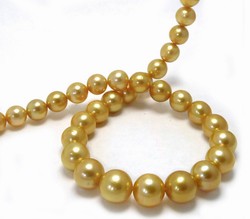 Golden South Sea Pearl Necklace