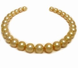 Golden South Sea Pearl Necklace