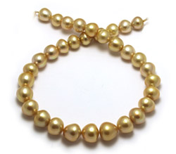 Deep Gold South Sea and Tahitian Pearl Necklace