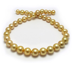 Deep Golden Pearl Necklace