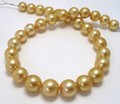 Rich Golden South Sea Pearl Necklace