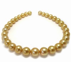 Golden South Sea Pearl Necklace