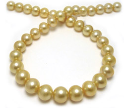 Golden South Sea Pearl Necklace