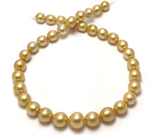 Deep golden South Sea pearl necklace