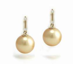 Golden South Sea Pearl Earrings