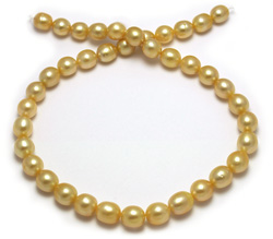 Intense Golden South Sea Pearl Necklace