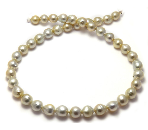 Lustrous Golden South Sea golden pearl necklace