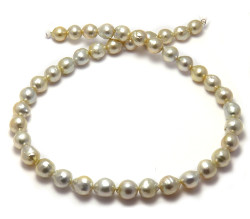 Golden South Sea Pearl Necklace