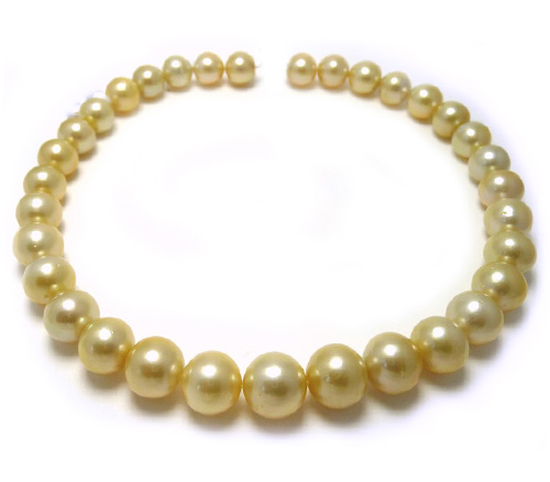 Golden South Sea Pearl Necklace