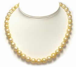 Golden South Sea Pearl Necklace